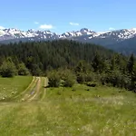 Mountain Dreams