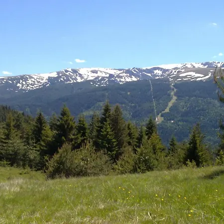 Mountain Dreams * Szapareva Banja